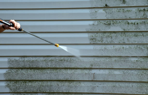 Best Driveway Pressure Washing  in Canton Valley, CT